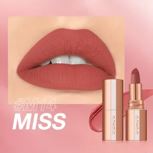 1pc Velvet Matte Lipstick